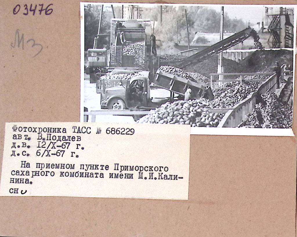 6 ГАПК. Фотофонд 03476.jpg.png 6 ГАПК. Фотофонд 03476.jpg.png