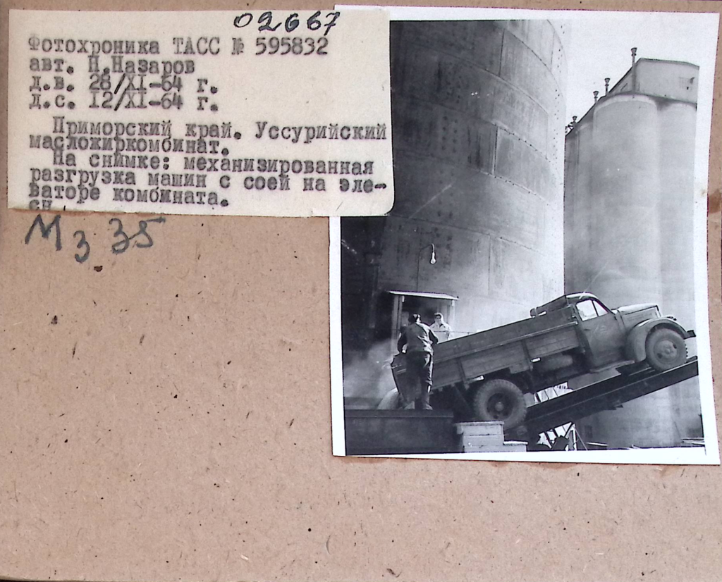 7 ГАПК. Фотофонд 02667 (негатив).jpg.png 7 ГАПК. Фотофонд 02667 (негатив).jpg.png