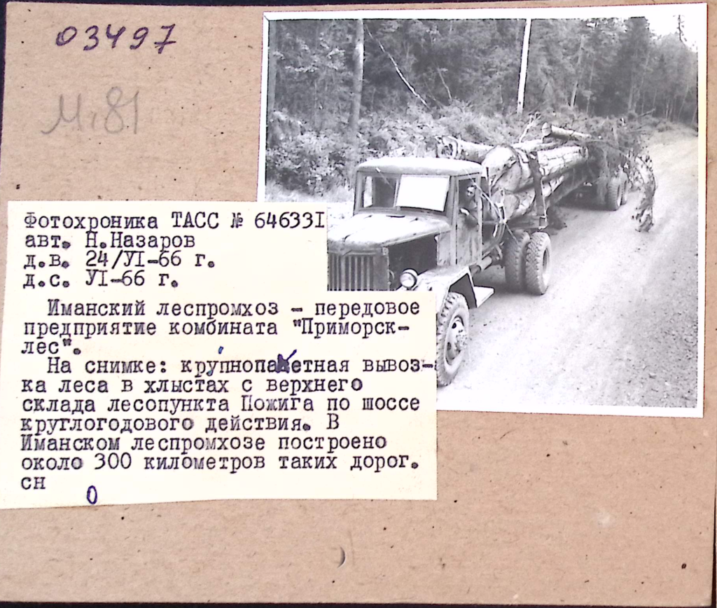 3 ГАПК. Фотофонд 03497 (негатив).jpg.png 3 ГАПК. Фотофонд 03497 (негатив).jpg.png